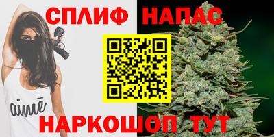 твердый Ставрополь