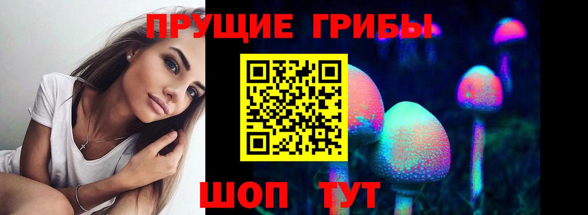 Галлюциногенные грибы Cubensis Саянск
